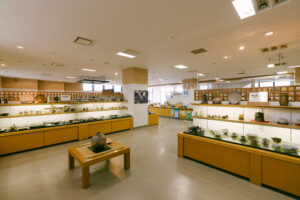 唐津焼総合展示場
